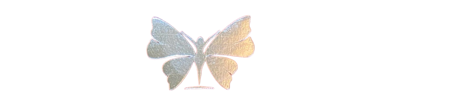 Logo Con Bướm
